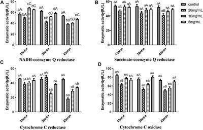 Structural modification of octadecanoic acid-3,4-tetrahydrofuran diester and the acaricidal activity and mechanism of its derivatives against Sarcoptesscabiei var. Cuniculi